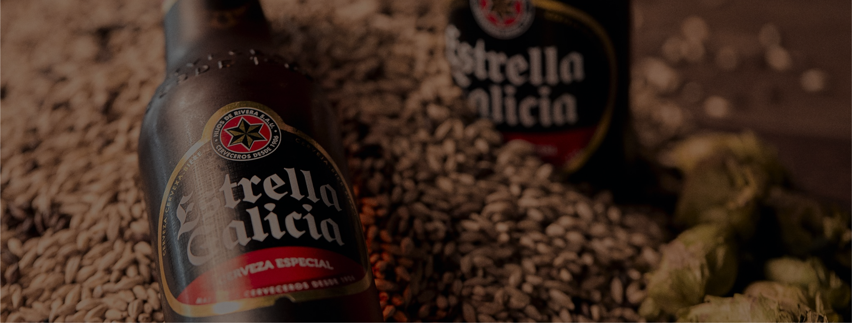 Estrella Galicia · Original case study image