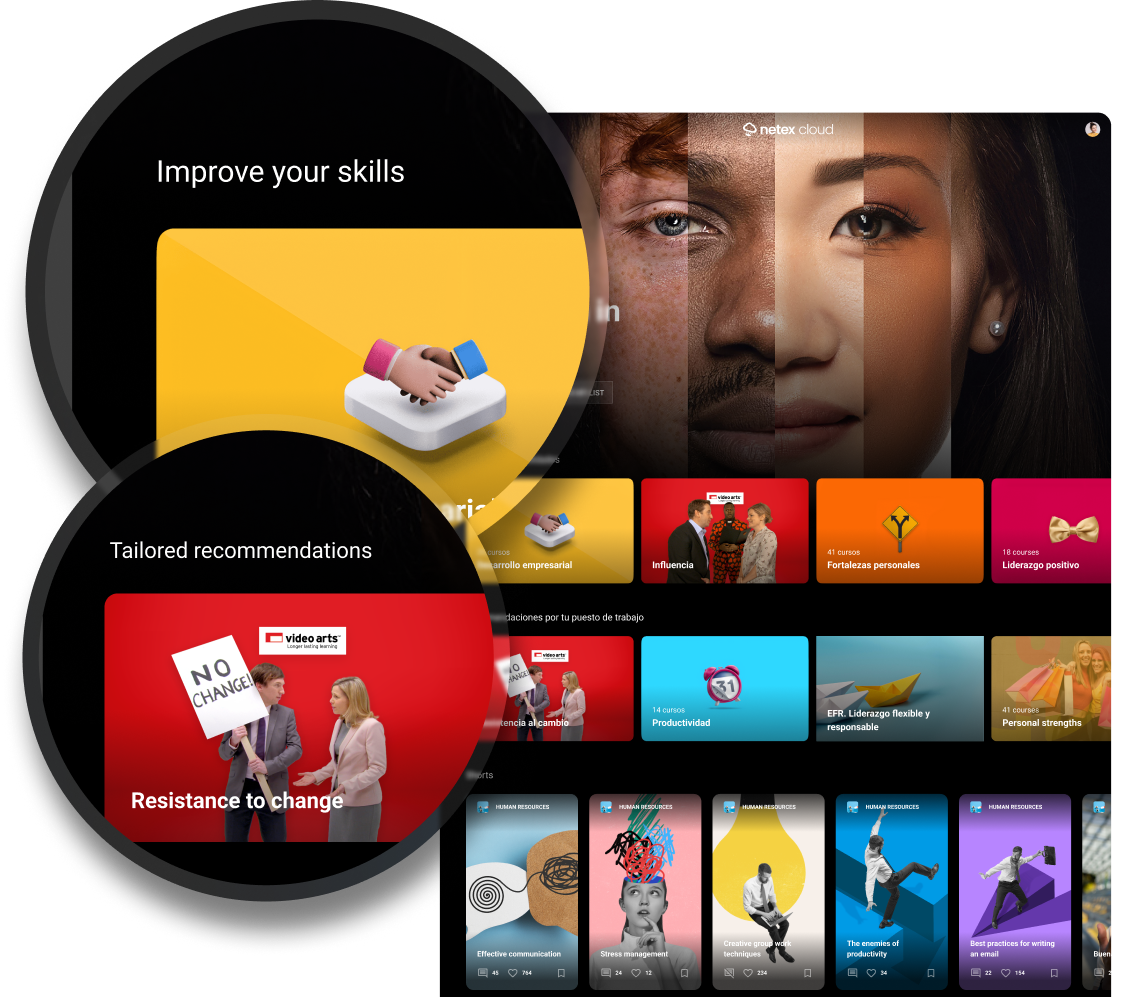 Netex Skills Framework