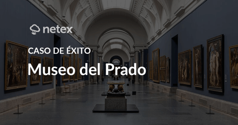 Netex Museo del Prado